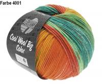Cool Wool Big Color
100g, Klass...